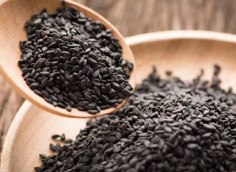 قیمت خرید گیاه کنجد سیاه خام + فروش ویژه